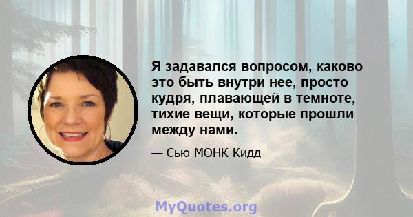 Я задавался вопросом, каково это быть внутри нее, просто кудря, плавающей в темноте, тихие вещи, которые прошли между нами.