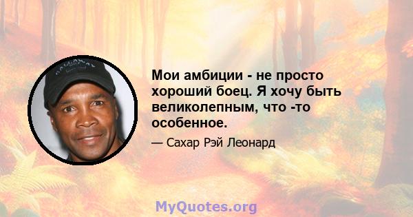 Мои амбиции - не просто хороший боец. Я хочу быть великолепным, что -то особенное.