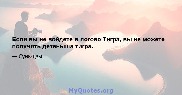 Если вы не войдете в логово Тигра, вы не можете получить детеныша тигра.