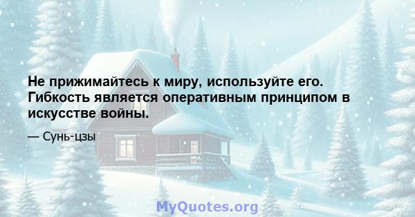 Не прижимайтесь к миру, используйте его. Гибкость является оперативным принципом в искусстве войны.