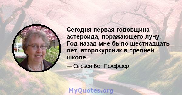 Сегодня первая годовщина астероида, поражающего луну. Год назад мне было шестнадцать лет, второкурсник в средней школе.