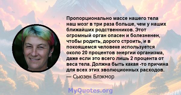 Пропорционально массе нашего тела наш мозг в три раза больше, чем у наших ближайших родственников. Этот огромный орган опасен и болезненен, чтобы родить, дорого строить, и в покоящемся человеке используется около 20