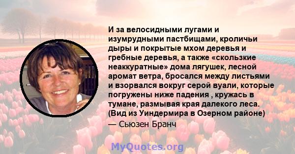 И за велосидными лугами и изумрудными пастбищами, кроличьи дыры и покрытые мхом деревья и гребные деревья, а также «скользкие неаккуратные» дома лягушек, лесной аромат ветра, бросался между листьями и взорвался вокруг