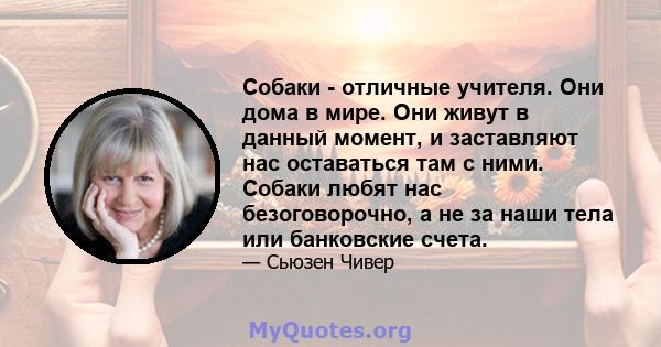 Собаки - отличные учителя. Они дома в мире. Они живут в данный момент, и заставляют нас оставаться там с ними. Собаки любят нас безоговорочно, а не за наши тела или банковские счета.