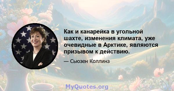 Как и канарейка в угольной шахте, изменения климата, уже очевидные в Арктике, являются призывом к действию.