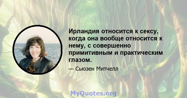 Ирландия относится к сексу, когда она вообще относится к нему, с совершенно примитивным и практическим глазом.