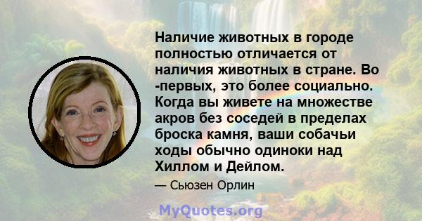 Наличие животных в городе полностью отличается от наличия животных в стране. Во -первых, это более социально. Когда вы живете на множестве акров без соседей в пределах броска камня, ваши собачьи ходы обычно одиноки над