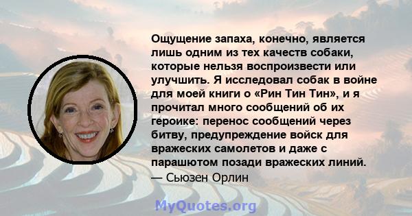 Ощущение запаха, конечно, является лишь одним из тех качеств собаки, которые нельзя воспроизвести или улучшить. Я исследовал собак в войне для моей книги о «Рин Тин Тин», и я прочитал много сообщений об их героике: