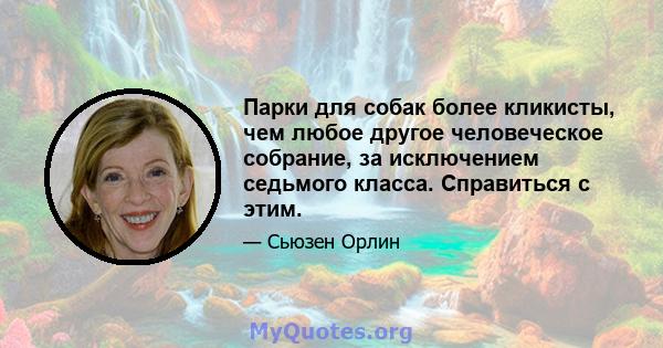 Парки для собак более кликисты, чем любое другое человеческое собрание, за исключением седьмого класса. Справиться с этим.