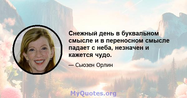 Снежный день в буквальном смысле и в переносном смысле падает с неба, незначен и кажется чудо.