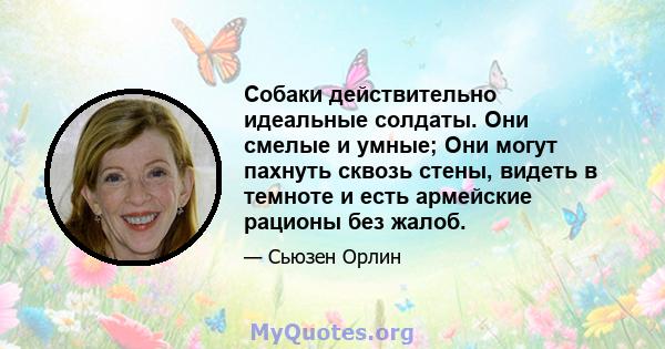 Собаки действительно идеальные солдаты. Они смелые и умные; Они могут пахнуть сквозь стены, видеть в темноте и есть армейские рационы без жалоб.