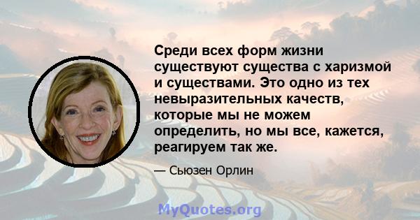 Среди всех форм жизни существуют существа с харизмой и существами. Это одно из тех невыразительных качеств, которые мы не можем определить, но мы все, кажется, реагируем так же.