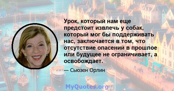 Урок, который нам еще предстоит извлечь у собак, который мог бы поддерживать нас, заключается в том, что отсутствие опасений в прошлое или будущее не ограничивает, а освобождает.