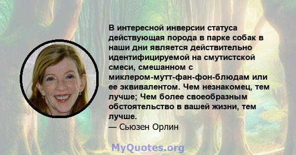 В интересной инверсии статуса действующая порода в парке собак в наши дни является действительно идентифицируемой на смутистской смеси, смешанном с миклером-мутт-фан-фон-блюдам или ее эквивалентом. Чем незнакомец, тем