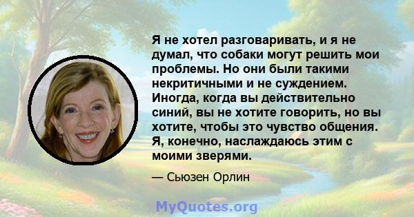 Я не хотел разговаривать, и я не думал, что собаки могут решить мои проблемы. Но они были такими некритичными и не суждением. Иногда, когда вы действительно синий, вы не хотите говорить, но вы хотите, чтобы это чувство