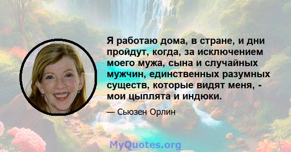 Я работаю дома, в стране, и дни пройдут, когда, за исключением моего мужа, сына и случайных мужчин, единственных разумных существ, которые видят меня, - мои цыплята и индюки.