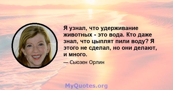 Я узнал, что удерживание животных - это вода. Кто даже знал, что цыплят пили воду? Я этого не сделал, но они делают, и много.