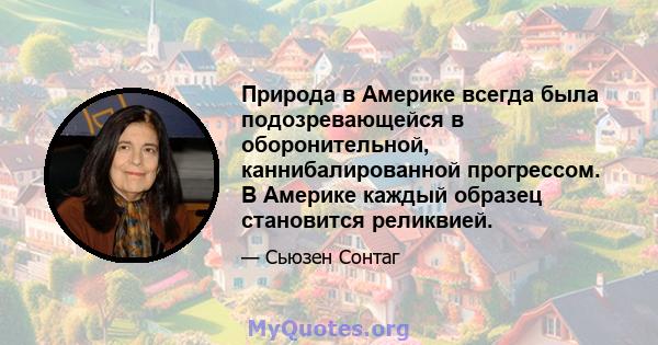 Природа в Америке всегда была подозревающейся в оборонительной, каннибалированной прогрессом. В Америке каждый образец становится реликвией.