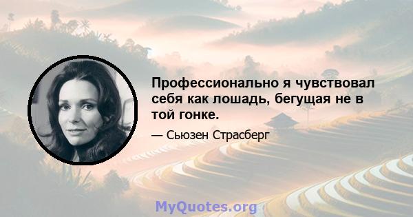 Профессионально я чувствовал себя как лошадь, бегущая не в той гонке.