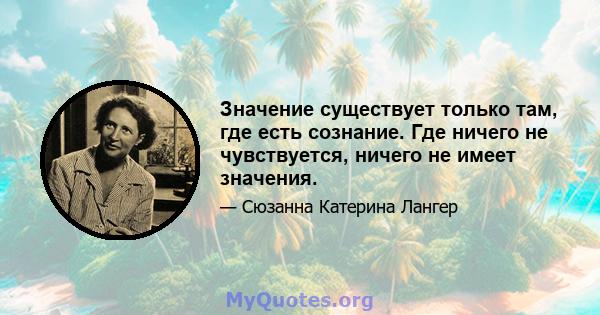 Значение существует только там, где есть сознание. Где ничего не чувствуется, ничего не имеет значения.