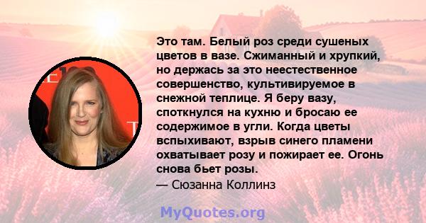 Это там. Белый роз среди сушеных цветов в вазе. Сжиманный и хрупкий, но держась за это неестественное совершенство, культивируемое в снежной теплице. Я беру вазу, споткнулся на кухню и бросаю ее содержимое в угли. Когда 