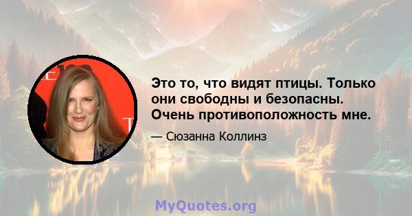 Это то, что видят птицы. Только они свободны и безопасны. Очень противоположность мне.