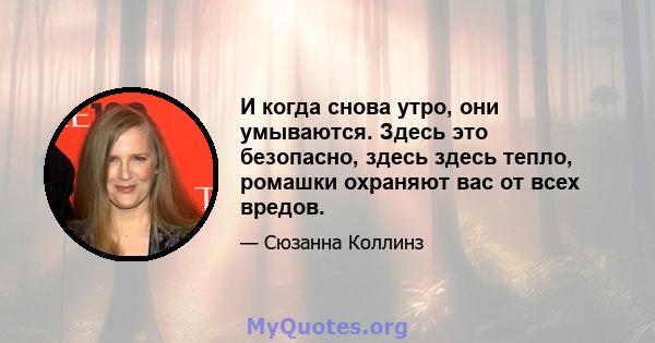 И когда снова утро, они умываются. Здесь это безопасно, здесь здесь тепло, ромашки охраняют вас от всех вредов.