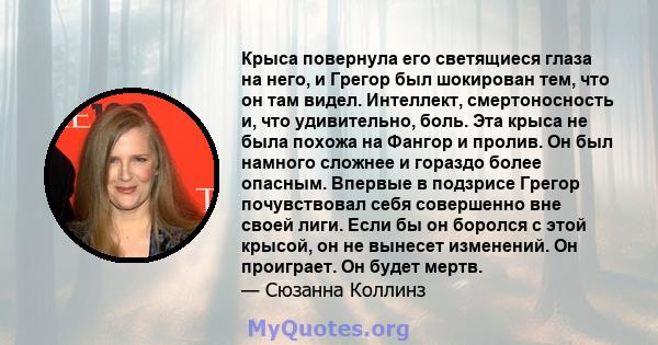 Крыса повернула его светящиеся глаза на него, и Грегор был шокирован тем, что он там видел. Интеллект, смертоносность и, что удивительно, боль. Эта крыса не была похожа на Фангор и пролив. Он был намного сложнее и