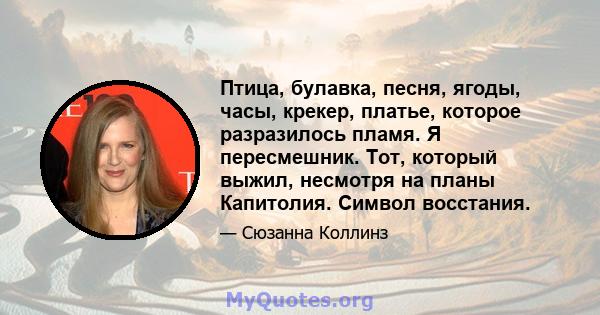 Птица, булавка, песня, ягоды, часы, крекер, платье, которое разразилось пламя. Я пересмешник. Тот, который выжил, несмотря на планы Капитолия. Символ восстания.