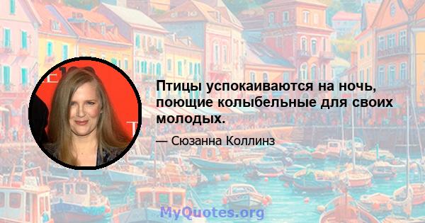 Птицы успокаиваются на ночь, поющие колыбельные для своих молодых.