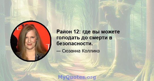 Район 12: где вы можете голодать до смерти в безопасности.