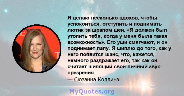 Я делаю несколько вдохов, чтобы успокоиться, отступить и поднимать лютик за шрапом шеи. «Я должен был утопить тебя, когда у меня была такая возможность». Его уши смягчают, и он поднимает лапу. Я шиплю до того, как у