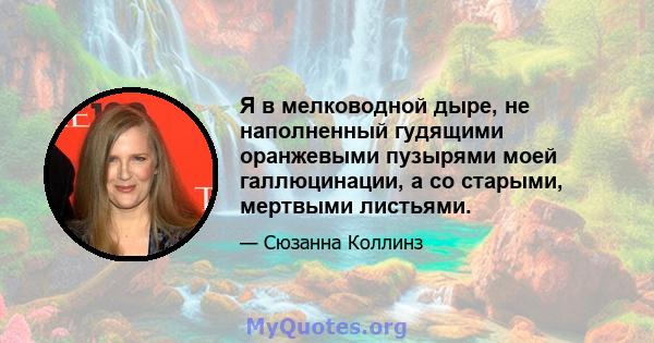 Я в мелководной дыре, не наполненный гудящими оранжевыми пузырями моей галлюцинации, а со старыми, мертвыми листьями.