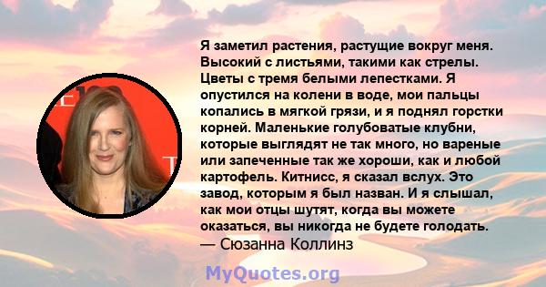 Я заметил растения, растущие вокруг меня. Высокий с листьями, такими как стрелы. Цветы с тремя белыми лепестками. Я опустился на колени в воде, мои пальцы копались в мягкой грязи, и я поднял горстки корней. Маленькие