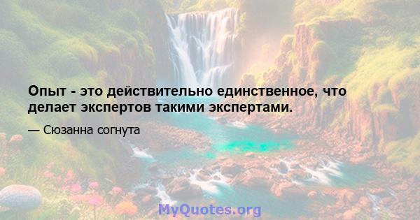 Опыт - это действительно единственное, что делает экспертов такими экспертами.