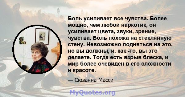 Боль усиливает все чувства. Более мощно, чем любой наркотик, он усиливает цвета, звуки, зрение, чувства. Боль похожа на стеклянную стену. Невозможно подняться на это, но вы должны, и, как -то, вы это делаете. Тогда есть 