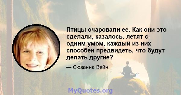 Птицы очаровали ее. Как они это сделали, казалось, летят с одним умом, каждый из них способен предвидеть, что будут делать другие?