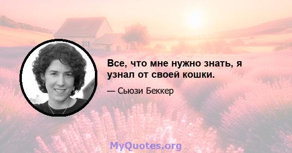 Все, что мне нужно знать, я узнал от своей кошки.