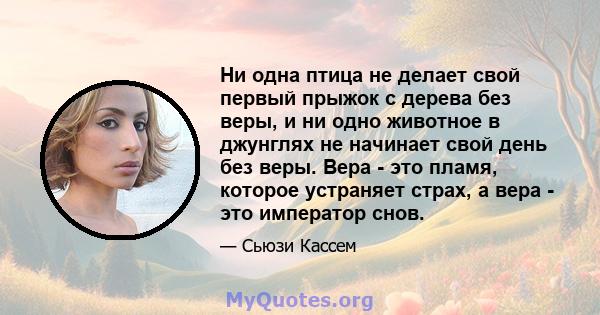 Ни одна птица не делает свой первый прыжок с дерева без веры, и ни одно животное в джунглях не начинает свой день без веры. Вера - это пламя, которое устраняет страх, а вера - это император снов.