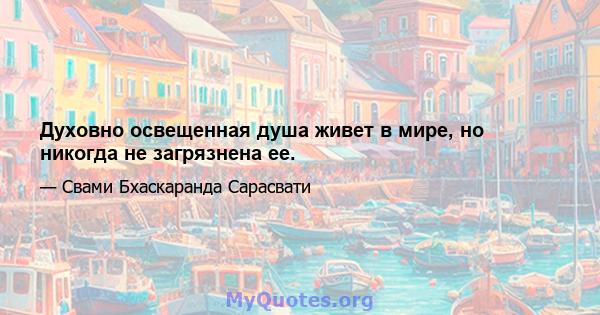 Духовно освещенная душа живет в мире, но никогда не загрязнена ее.