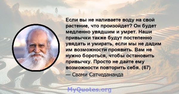 Если вы не наливаете воду на свой растение, что произойдет? Он будет медленно увядшим и умрет. Наши привычки также будут постепенно увядать и умирать, если мы не дадим им возможности проявить. Вам не нужно бороться,