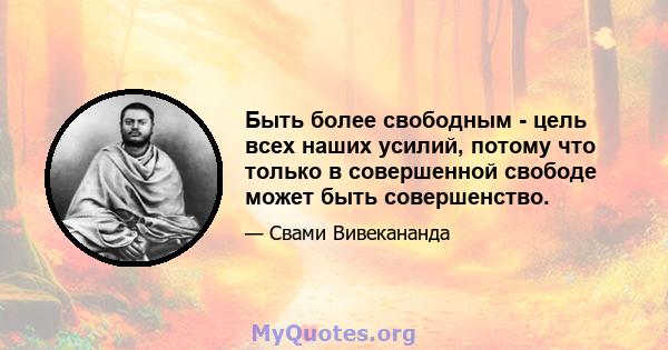 Быть более свободным - цель всех наших усилий, потому что только в совершенной свободе может быть совершенство.