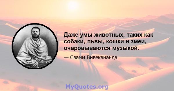 Даже умы животных, таких как собаки, львы, кошки и змеи, очаровываются музыкой.