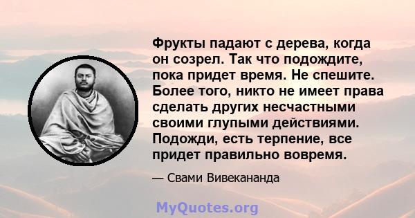 Фрукты падают с дерева, когда он созрел. Так что подождите, пока придет время. Не спешите. Более того, никто не имеет права сделать других несчастными своими глупыми действиями. Подожди, есть терпение, все придет