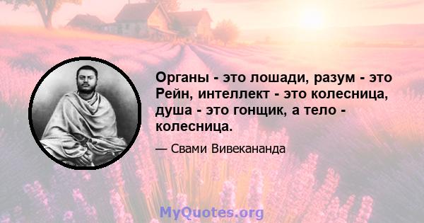 Органы - это лошади, разум - это Рейн, интеллект - это колесница, душа - это гонщик, а тело - колесница.