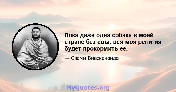 Пока даже одна собака в моей стране без еды, вся моя религия будет прокормить ее.