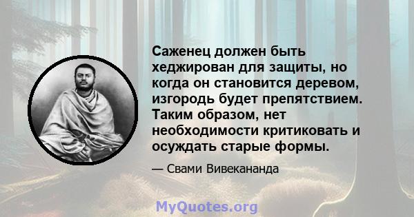 Саженец должен быть хеджирован для защиты, но когда он становится деревом, изгородь будет препятствием. Таким образом, нет необходимости критиковать и осуждать старые формы.