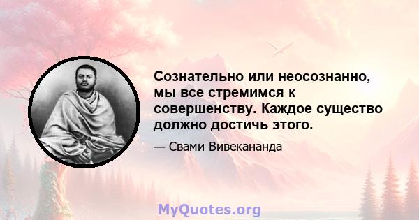 Сознательно или неосознанно, мы все стремимся к совершенству. Каждое существо должно достичь этого.