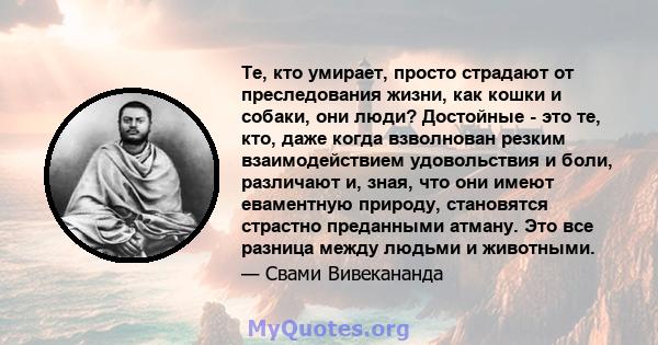 Те, кто умирает, просто страдают от преследования жизни, как кошки и собаки, они люди? Достойные - это те, кто, даже когда взволнован резким взаимодействием удовольствия и боли, различают и, зная, что они имеют