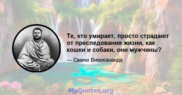 Те, кто умирает, просто страдают от преследования жизни, как кошки и собаки, они мужчины?